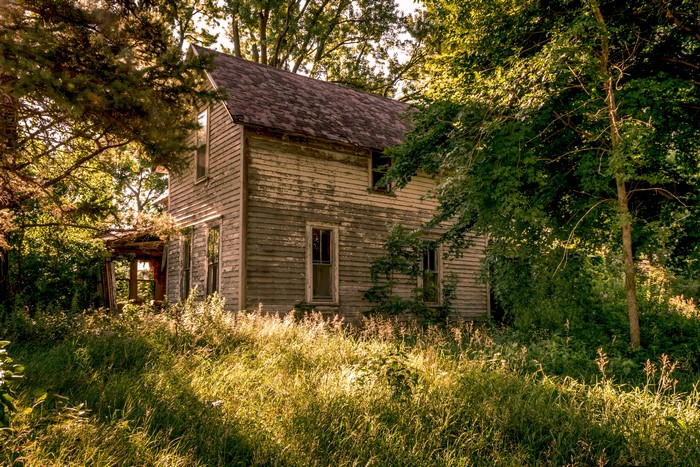 Old wooden house in overgrown grass and trees, Minnesota, USA