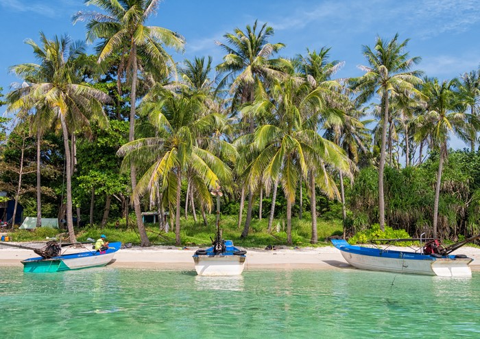 Boats on the beach with palm trees in Vietnam