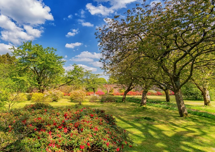 Bargany Gardens Scotland with Trees and Shrubs