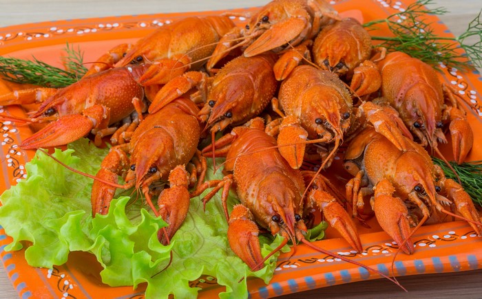 Cooked Crayfish on a Platter with Lettuce and Dill