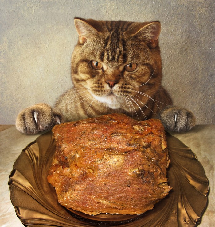Cat looking at a large piece of meat on a plate