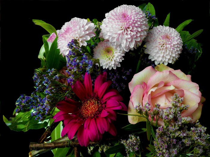 Bouquet of Roses, Dahlias, and Gerberas