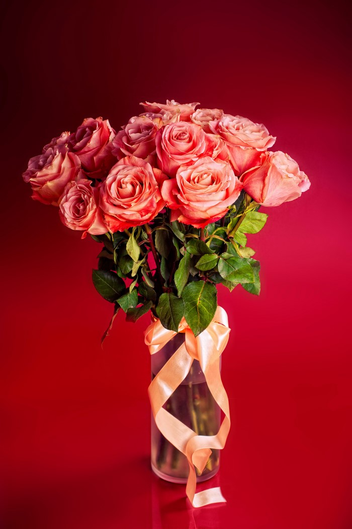 Bouquet of Pink Roses with Ribbon