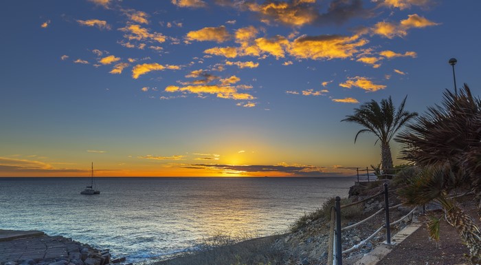 Sunset over the sea with palm trees in Canary Islands