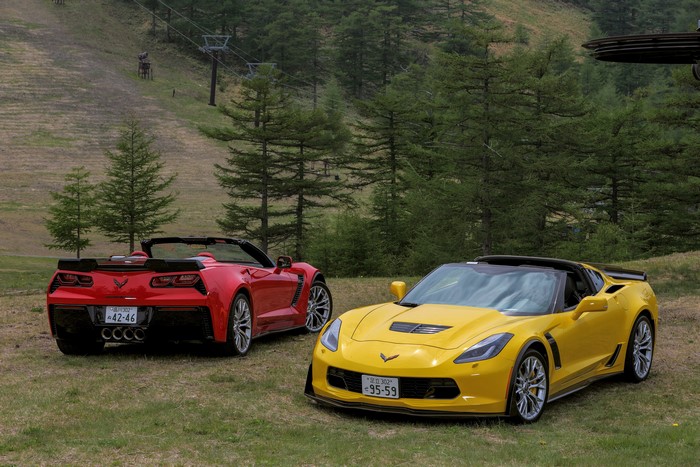 Two Chevrolet Corvettes on a grassy hill