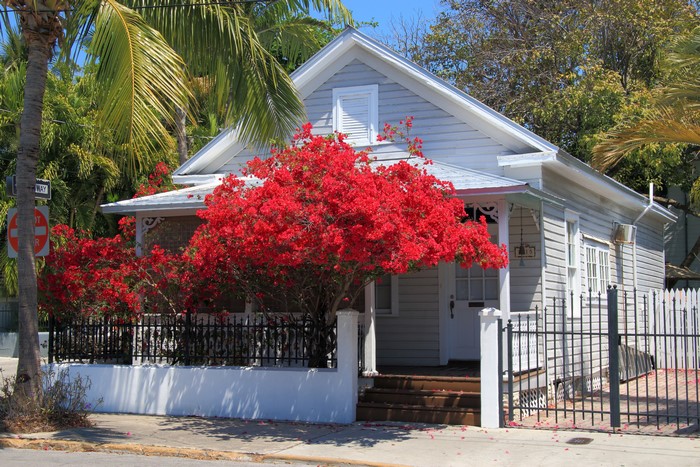 House with red bougainvillea in Key West, Florida