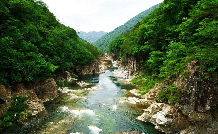 Nikko National Park Ryuokyo River Gorge in Japan