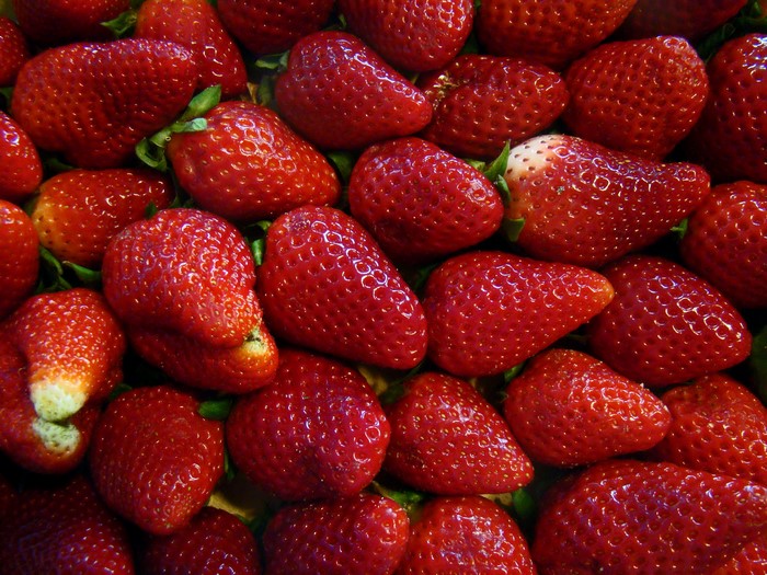 A close-up view of many ripe strawberries