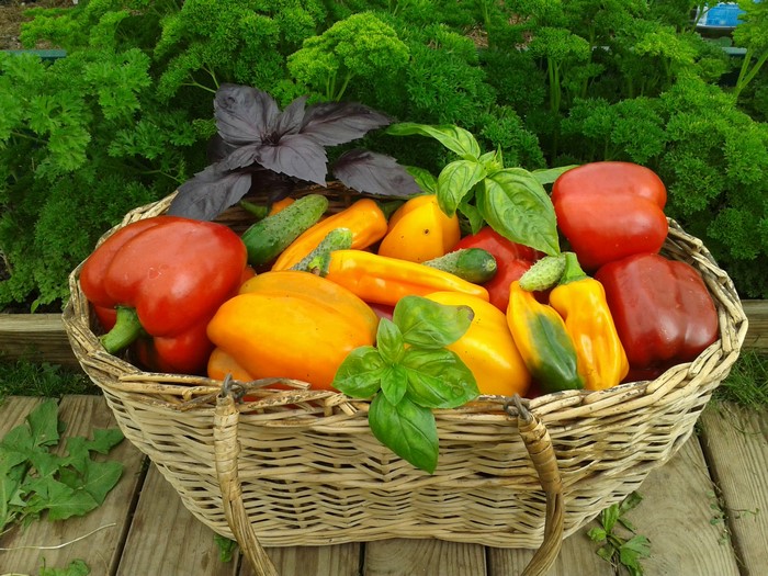 Wicker basket filled with fresh bell peppers and cucumbers