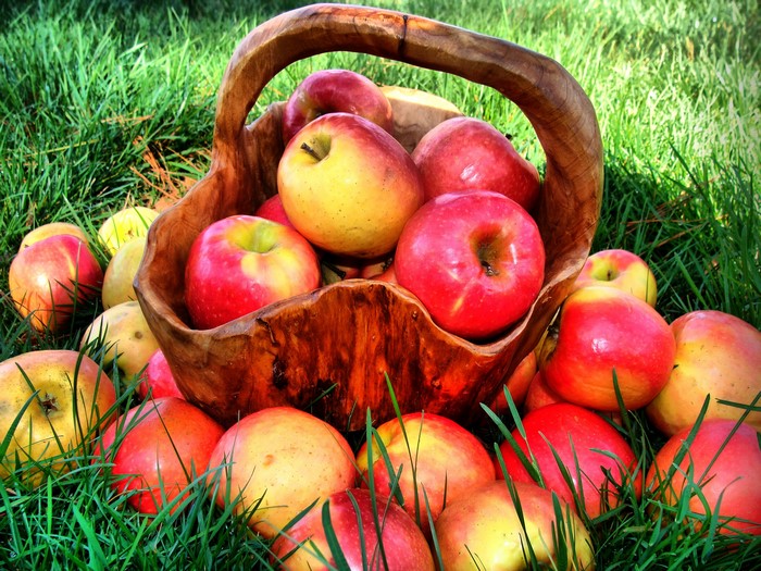 Basket of red and yellow apples on grass