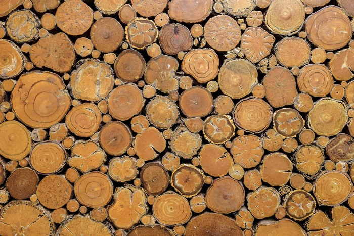 Wood log texture background