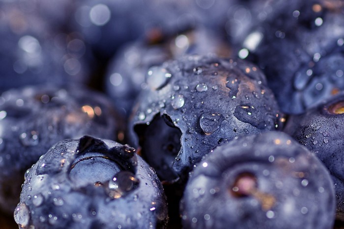 Macro closeup of fresh blueberries with water drops