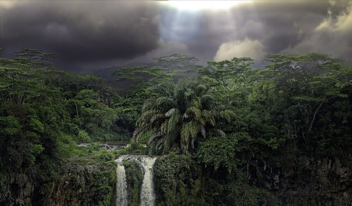 Waterfall in a lush forest in Mauritius