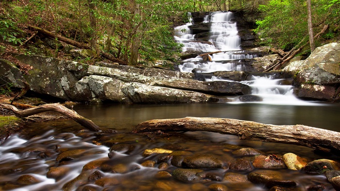Waterfall cascading over rocks in a forest