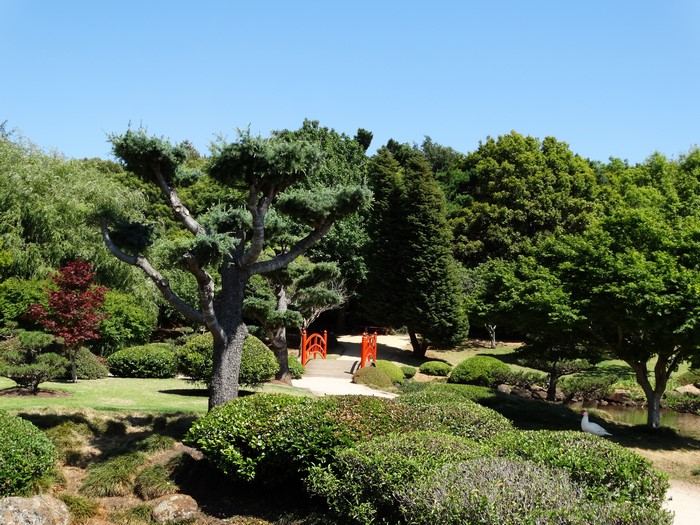 Japanese Garden in Toowoomba, Australia
