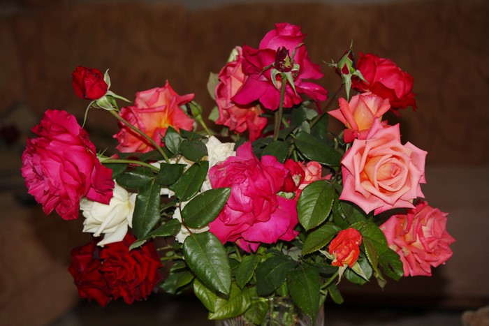 Bouquet of Roses with Colored Background