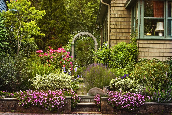 Rabbit in a lush garden with a house
