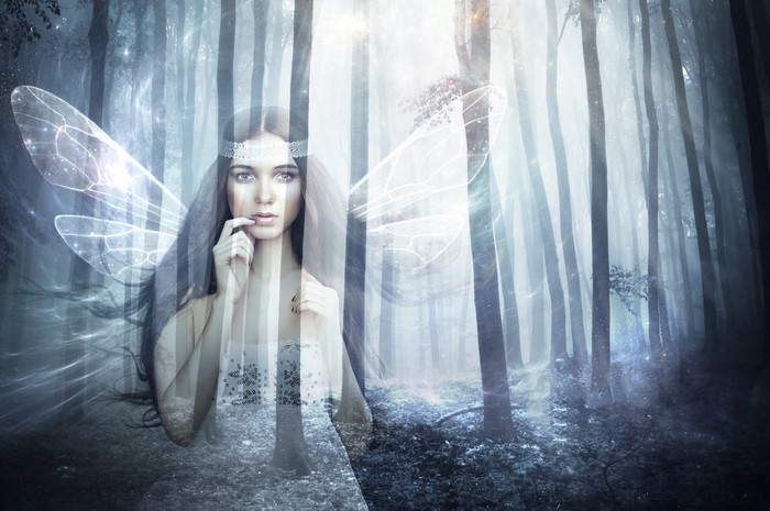 Fairy in a misty forest