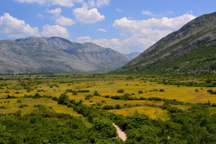 Valley with mountains and yellow flowers in Ravno, Bosnia and Herzegovina