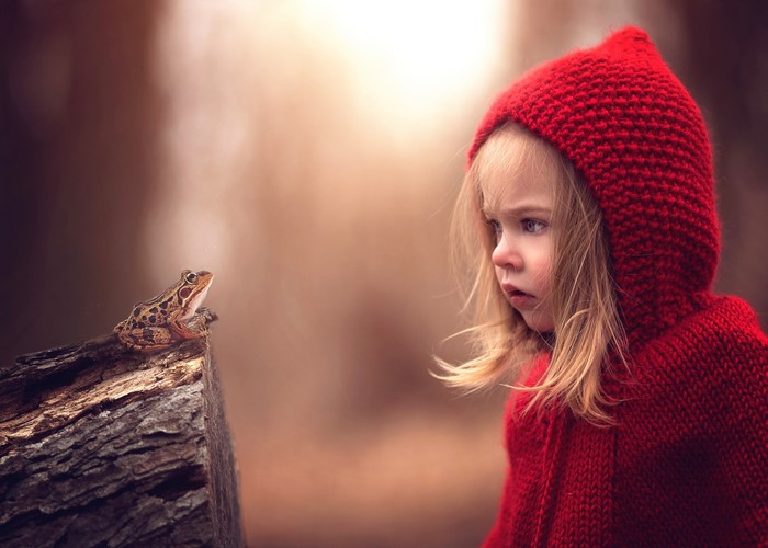 Girl in red hood looking at a frog on a log