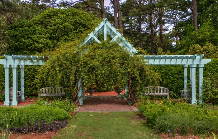 Pergola with benches and plants in a garden