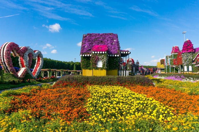 Dubai Miracle Garden with Flower Houses and Heart Sculptures