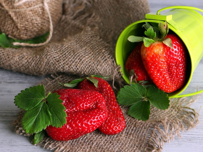 Strawberries in a green bucket on burlap