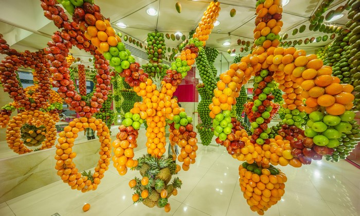 Fruit DNA Design with Apples, Pomegranates, Mandarines, Pineapples, Mango