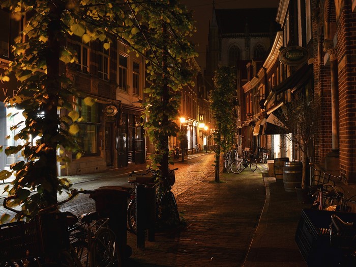 Street in Haarlem, Netherlands at Night