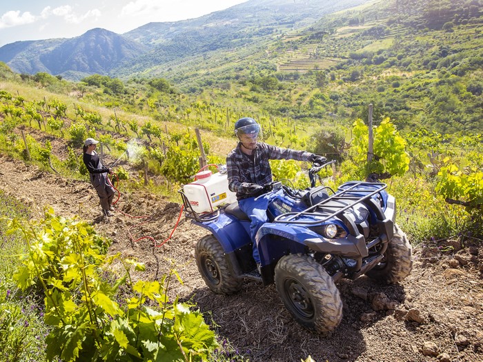 Man on Yamaha ATV in Vineyard with Woman Spraying