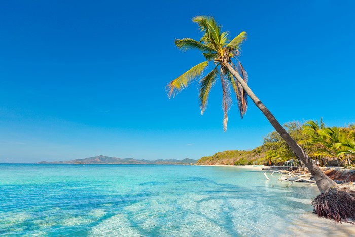 Tropical beach with palm trees and clear blue sea