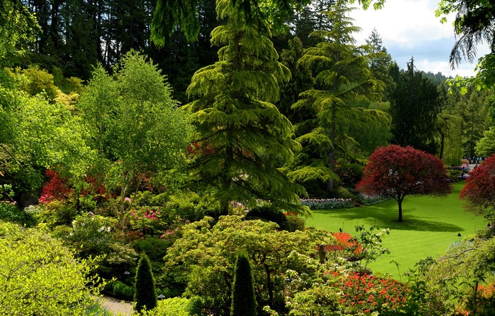 Butchart Gardens in Canada with trees and shrubs