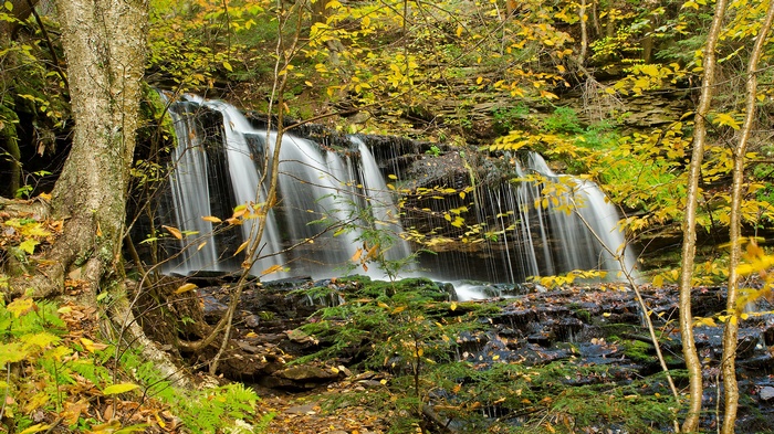 Waterfall in a forest during autumn