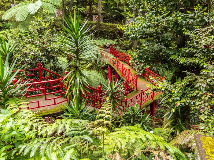Red bridge in Monte Palace Tropical Garden, Funchal, Madeira