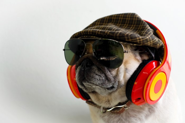 Pug wearing sunglasses, cap, and headphones