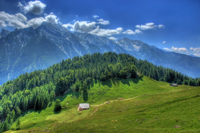 Ramsau, Germany: Mountains, Forests, and Grasslands Scenery