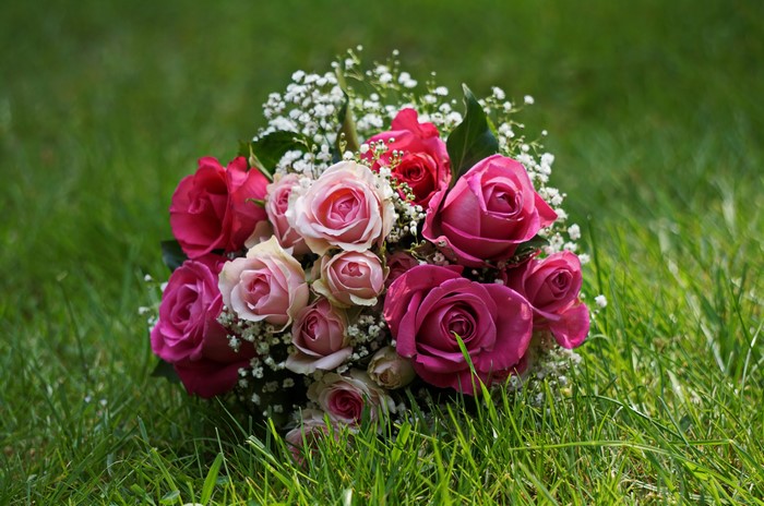Bouquet of pink and red roses on grass