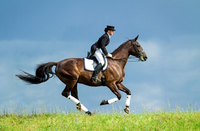 Woman in formal riding attire on a brown horse galloping