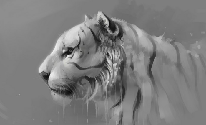 Black and white painting of a white tiger's head