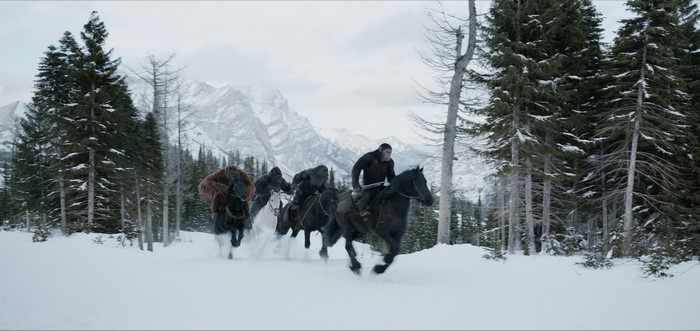 Monkeys on horses in snowy forest