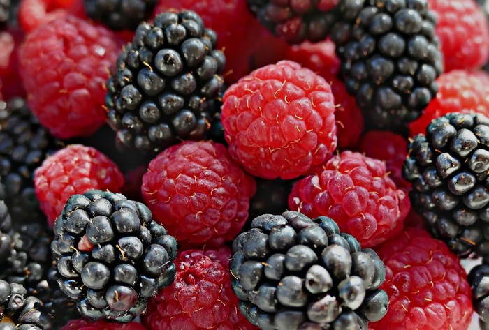 Blackberry, Raspberry, Closeup, Berry, HD Wallpaper | Rare Gallery