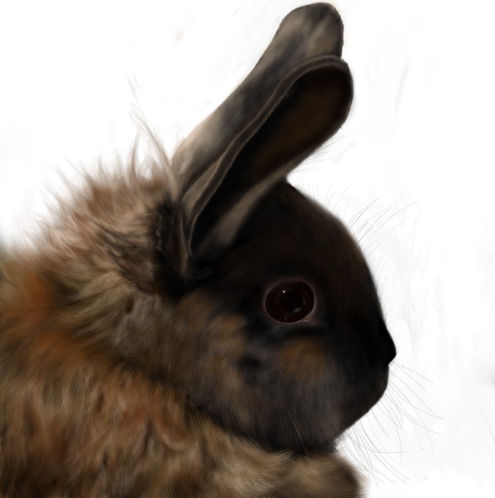 Painting of a rabbit's head