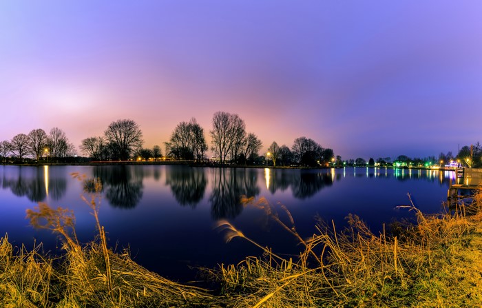 Trees reflecting in water at dusk in Netherlands