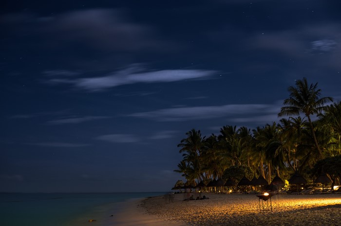 Beach at night with palm trees and ocean