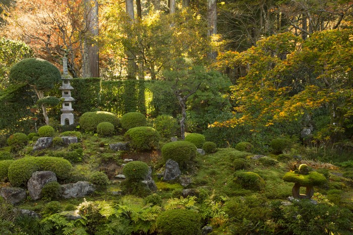 Japanese garden with stone pagoda and manicured shrubs