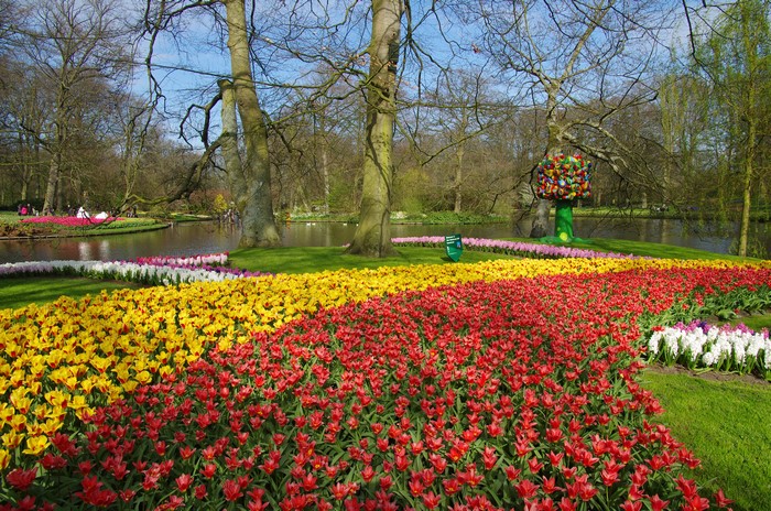 Keukenhof Gardens with Tulips and Pond in Spring