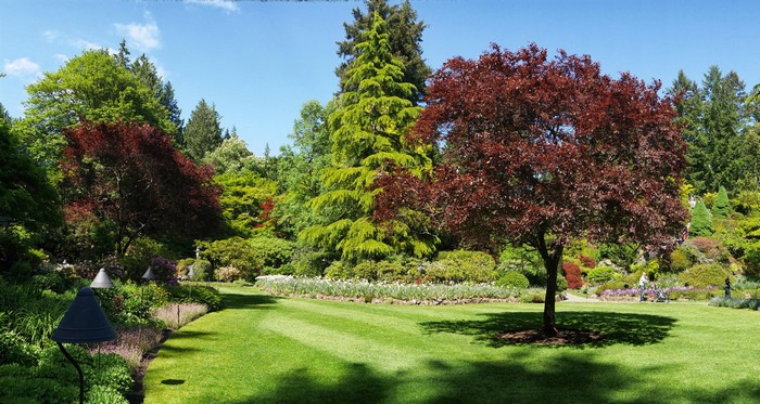Butchart Gardens with Trees and Lawn