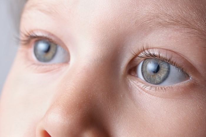 Closeup of a Child's Eyes and Nose