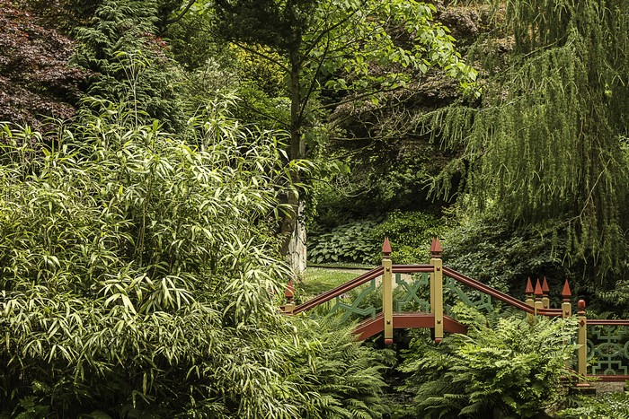 Biddulph Grange Japanese Garden Bridge, United Kingdom
