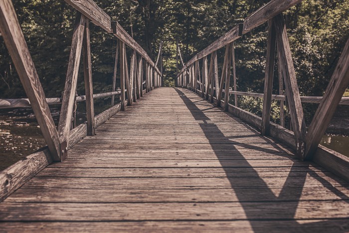 Wooden bridge over water with trees